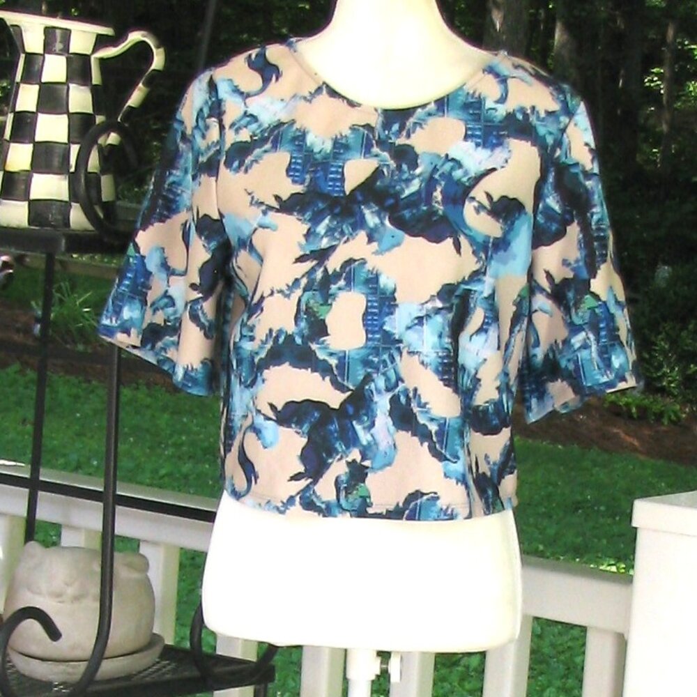 NWT Ripley Radar Los Angeles pullover cropped top shirt blouse Size 4 polyester